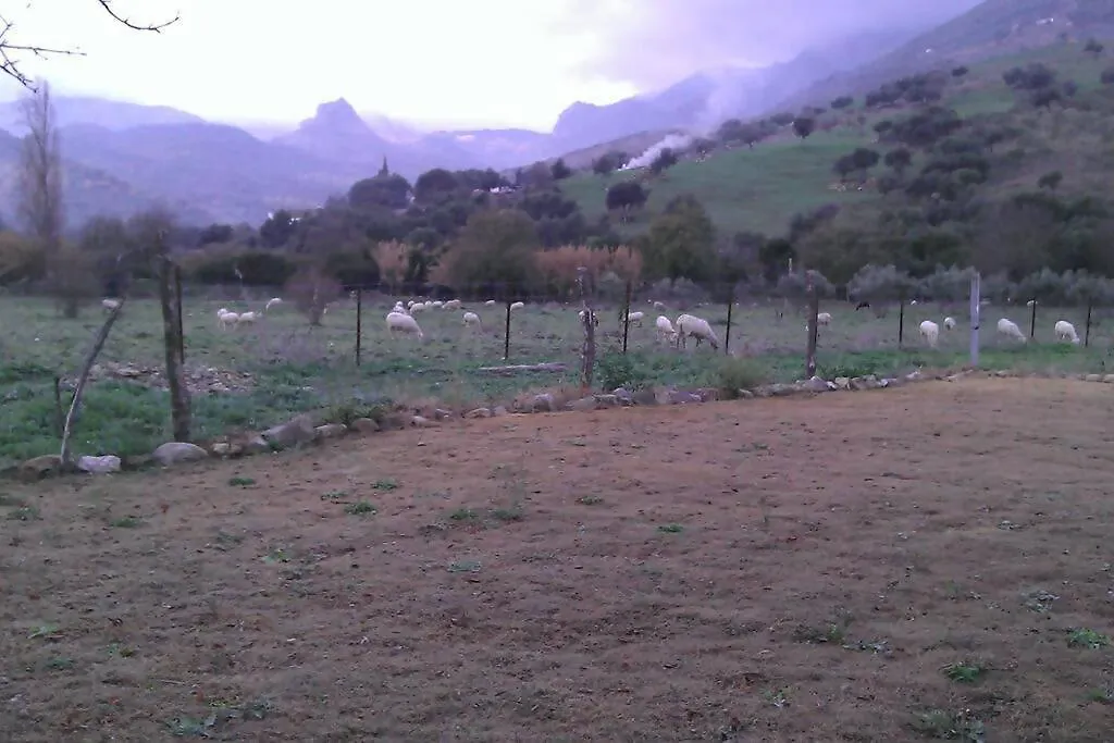 Country house Cortijo Grazalema Piscina 5 Hbts Con Bano Ac Guest House